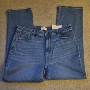 LOFT Medium Blue Straight Curvy High-Rise Jeans